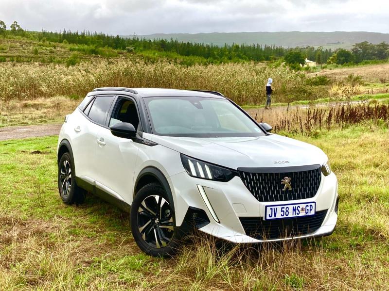 Peugeot 2008 2021 SUV Review The cat that should get the cream 