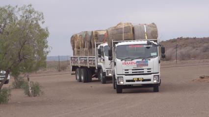 Isuzu and Motus come to the rescue
