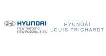 Hyundai Louis Trichardt Logo