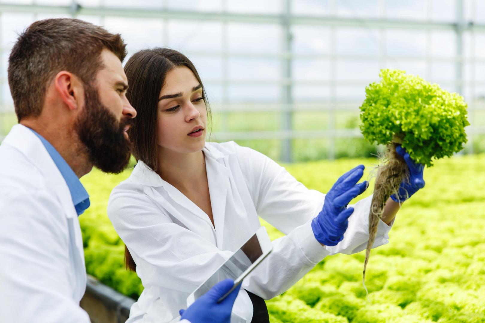 Agriculture News