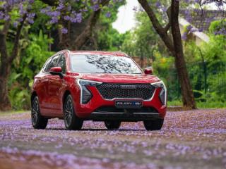 How popular is the Haval Jolion?