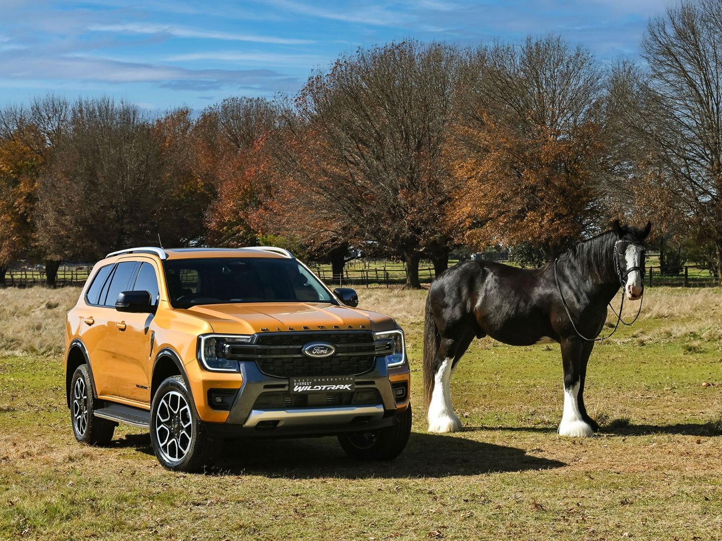 Ford Everest