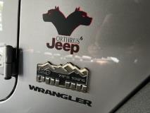 Jeep Wrangler Unlimited 3.6L Polar Edition Chasing Cars