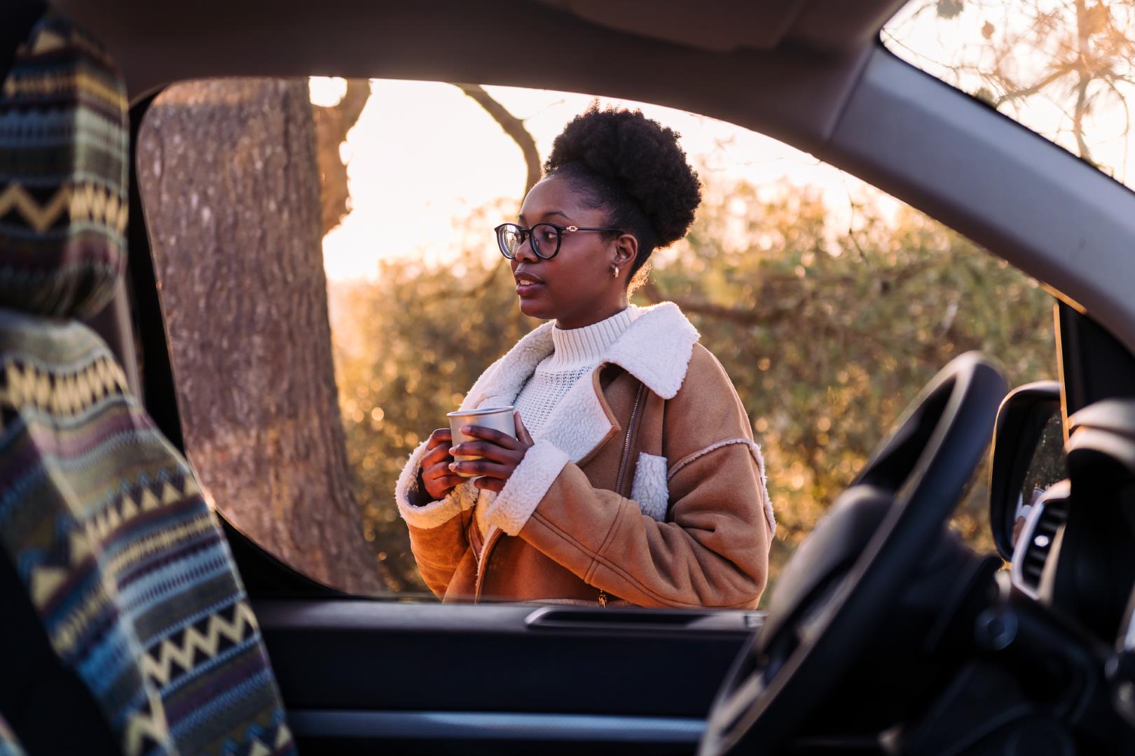 Car Ownership