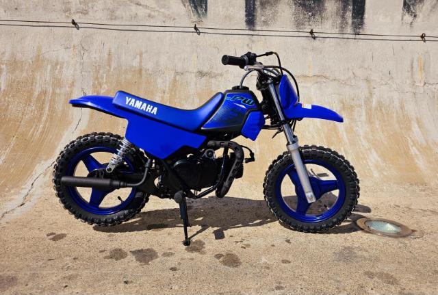 Yamaha PW 50 Linex Sandton