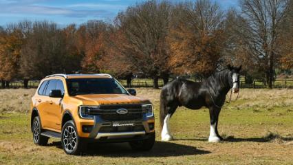 5 extras you should retrofit on a used Ford Everest Wildtrak