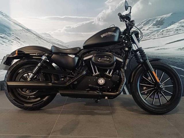 Harley-Davidson Sportster XL883 N Iron Triumph Cape Town