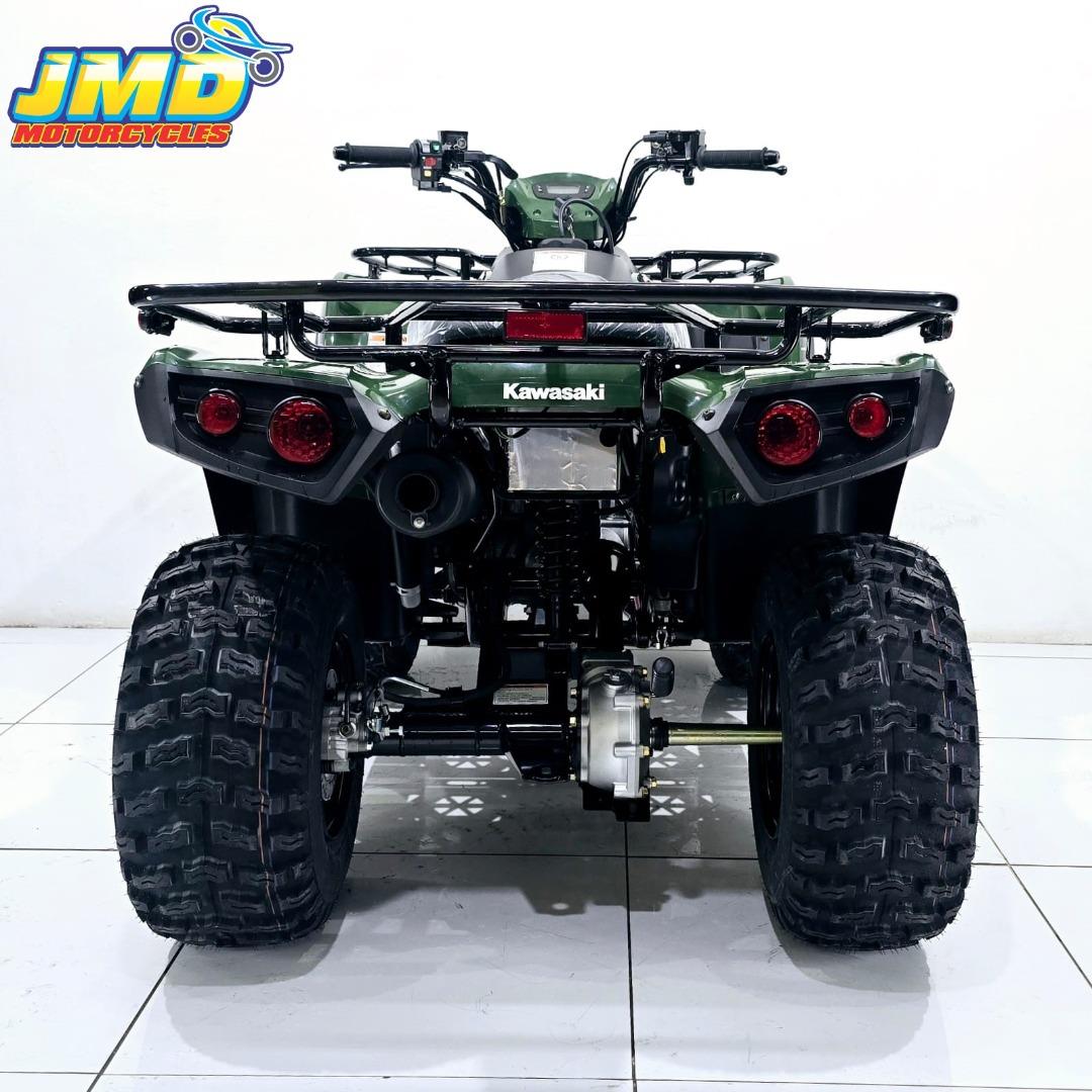Kawasaki BRUTE FORCE 300