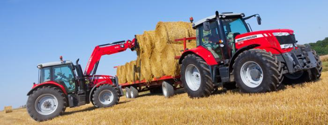 Two red Massey Ferguson tractors working in a field of golden wheat. One tractor with a front loader is stacking large round hay bales onto a trailer pulled by the second tractor. Clear blue sky in the background."