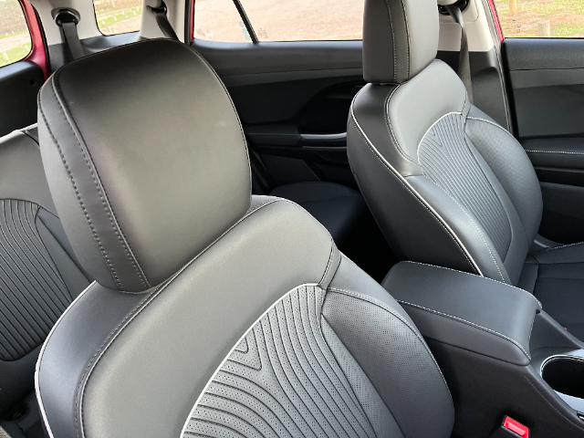 The stylish faux leather in the Alcazar.