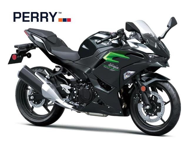 Kawasaki ZX10-R 40th Edition NEW for sale in Umhlanga - ID