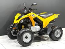 Bombardiercanam DS 250 ATV Bikeshop Rivonia