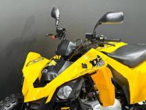 Bombardiercanam DS 250 ATV Bikeshop Rivonia