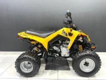 Bombardiercanam DS 250 ATV Bikeshop Rivonia