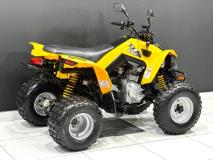 Bombardiercanam DS 250 ATV Bikeshop Rivonia