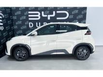 BYD Dolphin Surf Comfort BYD Durban