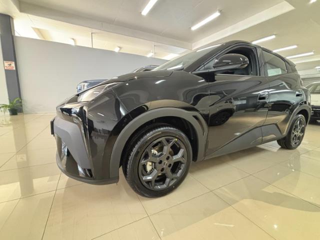 BYD Dolphin Surf Dynamic Jetour Ballito