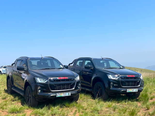 A duo of black beauties in Hillcrest.
