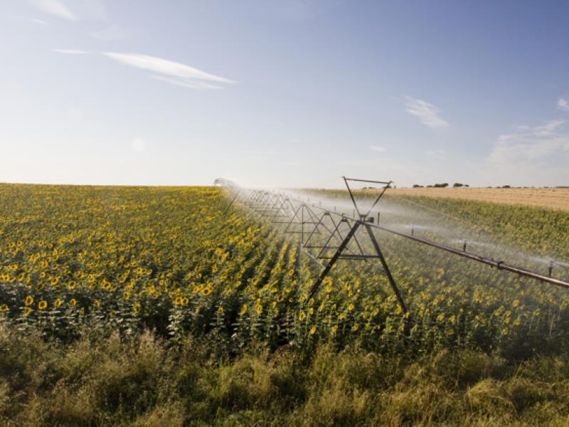 The importance of effective irrigation in South Africa Agriculture