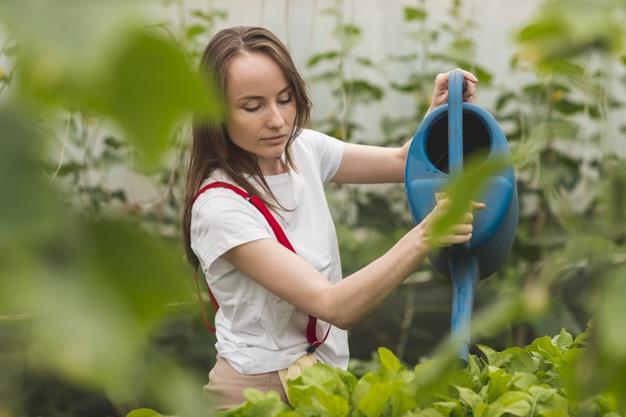 Agriculture News