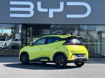 BYD Dolphin Surf Dynamic Rola Byd Somerset West