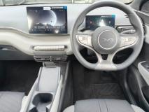 BYD Dolphin Surf Dynamic Rola Byd Somerset West