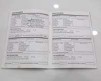 Renault Kiger 1.0 Zen Pristine Motors