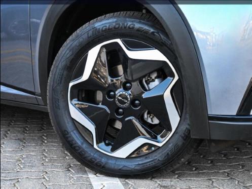 2026 BYD Dolphin Standard Range for sale