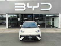 BYD Dolphin Surf Dynamic Rola Byd Somerset West