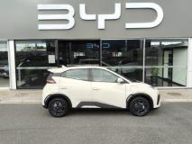 BYD Dolphin Surf Dynamic Rola Byd Somerset West