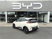 BYD Dolphin Surf Dynamic Rola Byd Somerset West