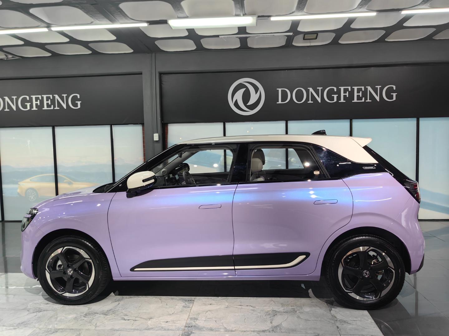 Dongfeng Box E2 430 Dongfeng Pinetown