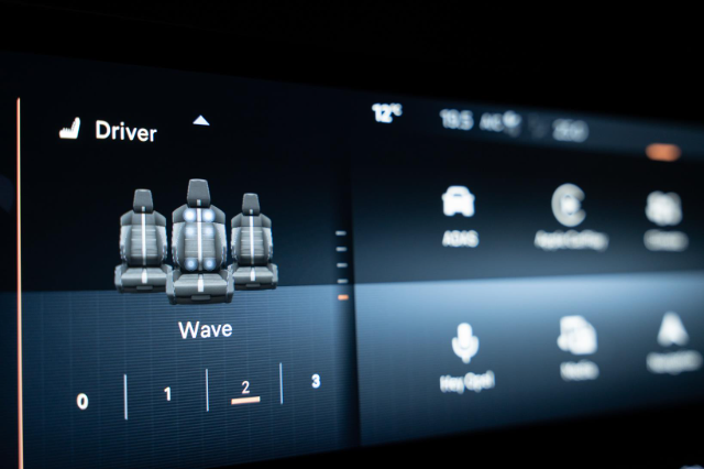 Who doesn't enjoy a massage while driving?