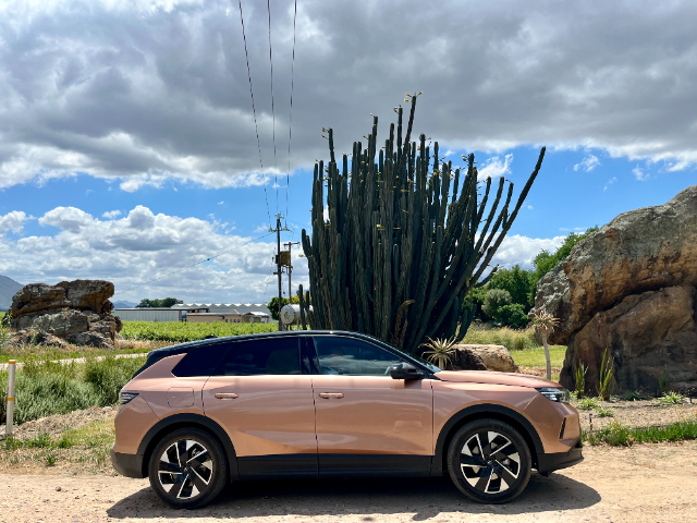 A massive San Pedro cactus nearby which had to be photographed immediately.