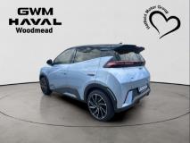 BYD Dolphin Surf Dynamic Haval Woodmead