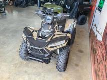 Linhai Promax 500 4x4 AUTOMATIC The Diff and Chain