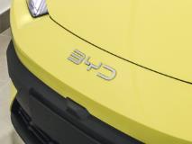 BYD Dolphin Surf Dynamic BYD East Rand