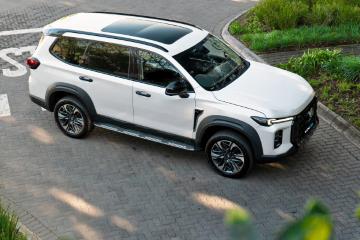 LDV lands in SA: First shipment of Terron 9 and D90 hits local shores