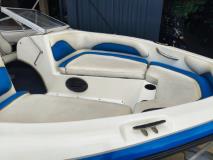 Raven Excel 19ft with 200 mercury optimax AUTOMATIC The Diff & Chain