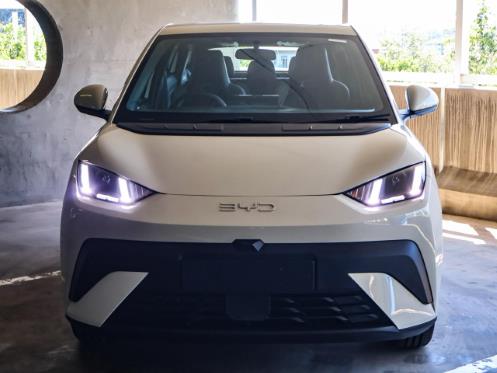 2026 BYD Dolphin Surf Dynamic for sale