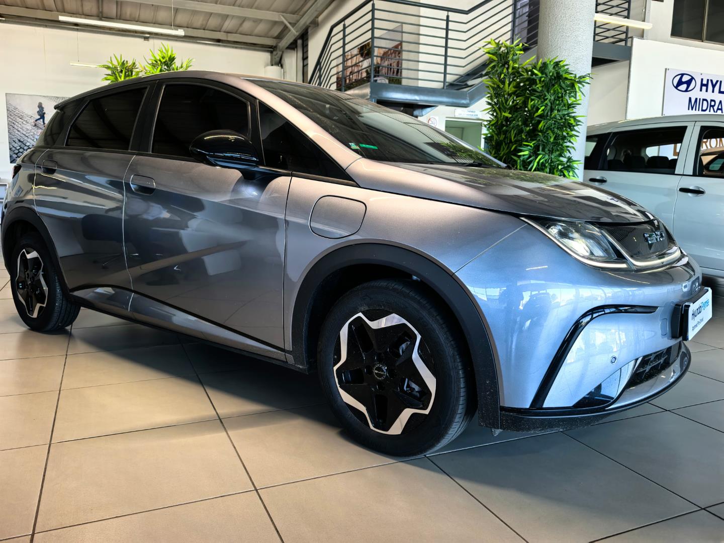 2025 BYD Dolphin Standard Range for sale