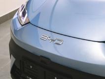 BYD Dolphin Surf Dynamic BYD East Rand