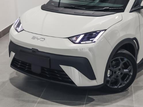 2026 BYD Dolphin Surf Dynamic for sale