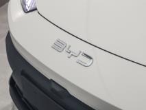 BYD Dolphin Surf Dynamic BYD East Rand