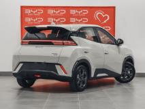 BYD Dolphin Surf Dynamic BYD East Rand