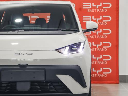 2026 BYD Dolphin Surf Dynamic for sale