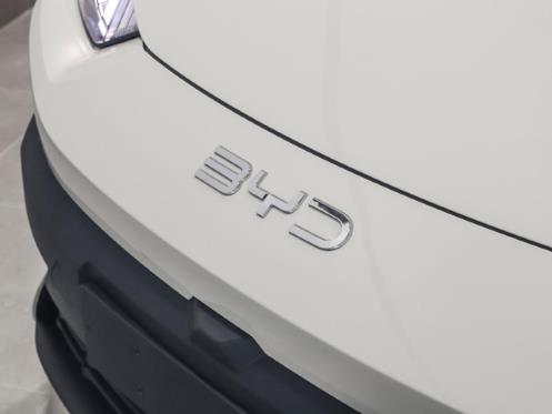 2026 BYD Dolphin Surf Dynamic for sale