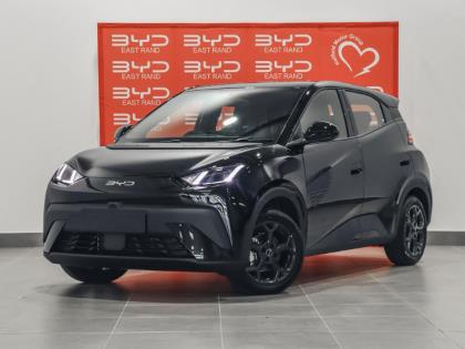 BYD Dolphin Surf Dynamic BYD East Rand