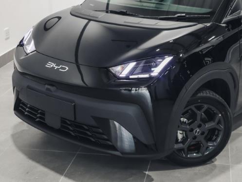 2026 BYD Dolphin Surf Dynamic for sale