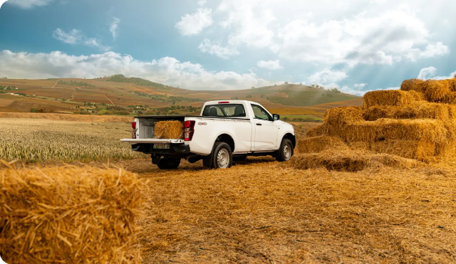 Isuzu D-Max L LS LSE VCross V-Cross V Cross AT AT35 Artic Trucks 35 